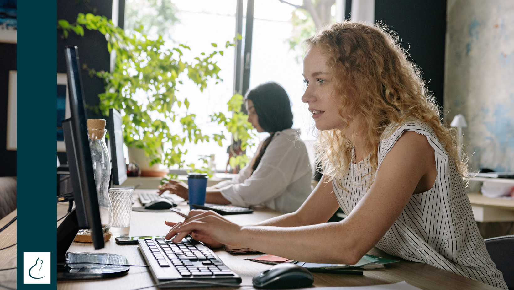 strona internetowa kancelarii